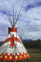 TIPI-1
