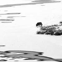 IMG_1653_2X3_NB CARRE