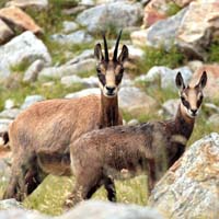 IMG_1670 CAD WWWCARRE