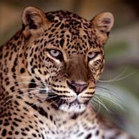 IMG_6921WWCARRE CMJN