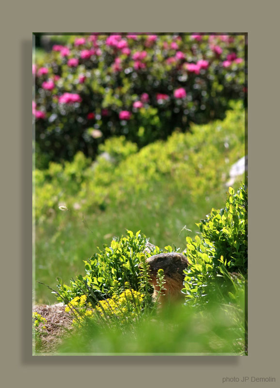 IMG_4838 STTFNS N2018