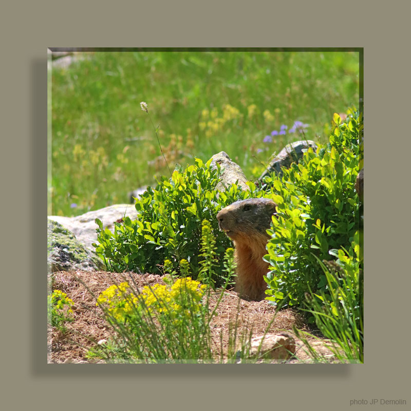 IMG_4841 STFNVSATCARREN18