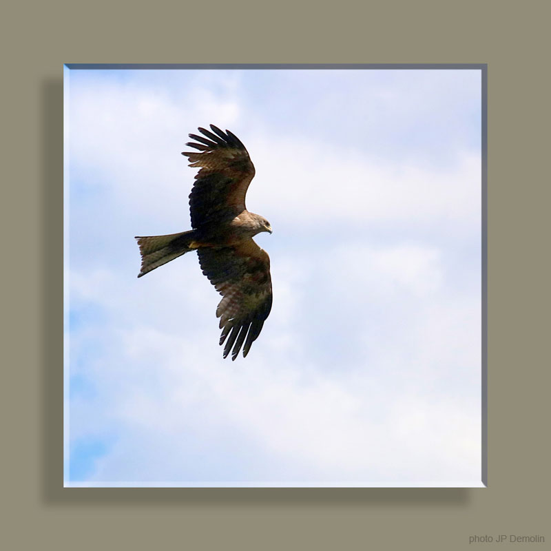 IMG_5904WWNRECCSN18CARRE