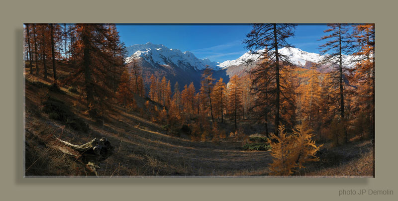 PANO 07 LES TETESWTFCSNAN18