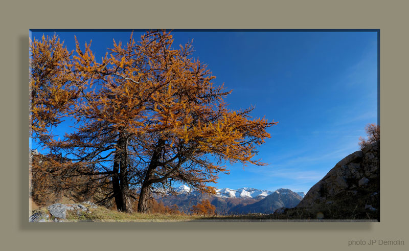 PANO26 LES TETESTFNCS N18