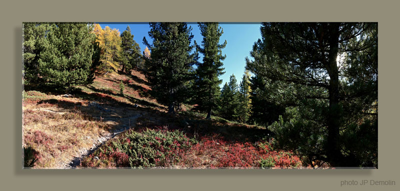 Pano 16WWTFNV N0CSRN