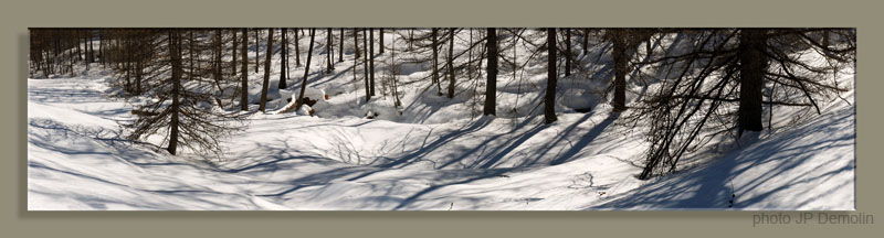 Pano05NARREYROUXTFNAFVN18