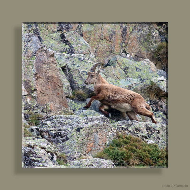 Photo 013 TFNA N2 CARRE