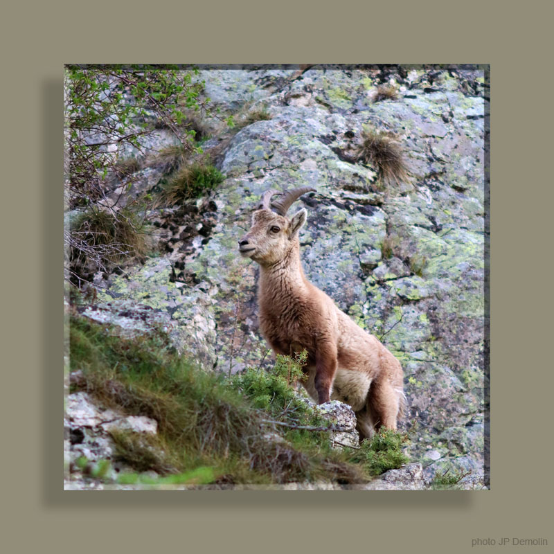 Photo 027TF NV N2 CARRE