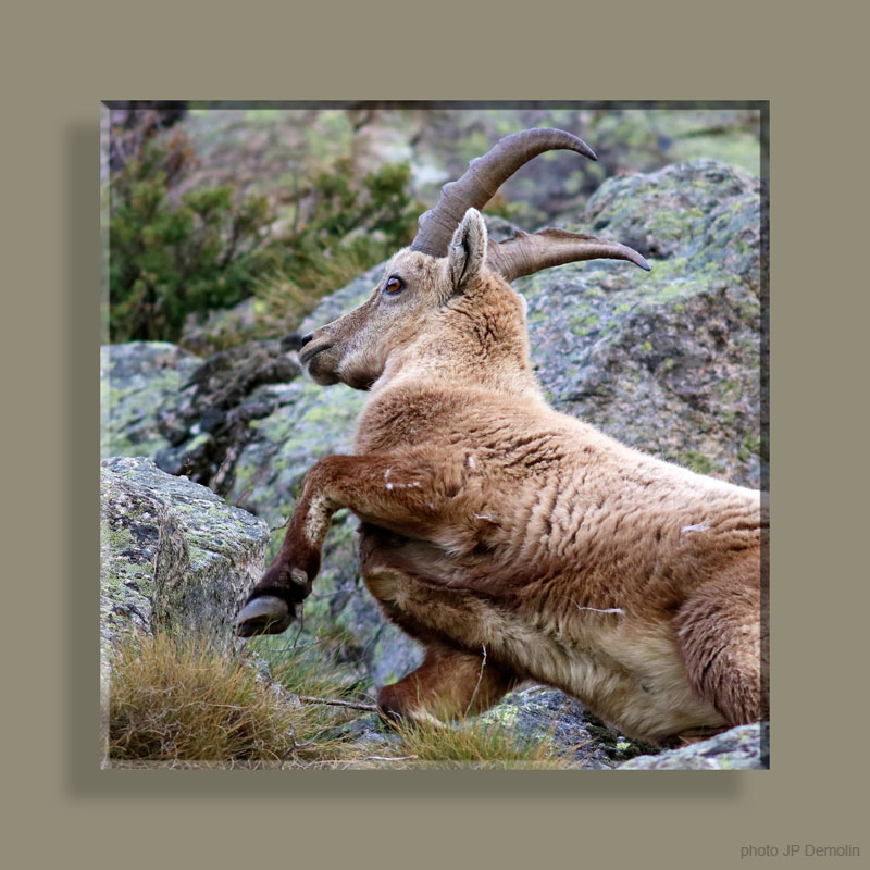 Photo 073TFNV N2 CARRE N