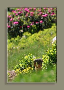 IMG_4838 STTFNS N2018