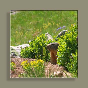 IMG_4841 STFNVSATCARREN18