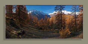 PANO 07 LES TETESWTFCSNAN18