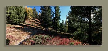 Pano 16WWTFNV N0CSRN