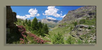 PanoLAC DU FANGEAS 13WTFCSV n18