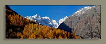 PanoVALLON NARREYROUX 20WTFCSNCSN18CS