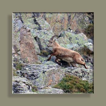 Photo 013 TFNA N2 CARRE