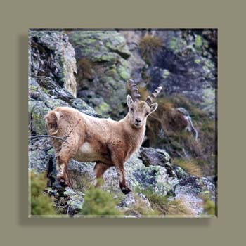 Photo 108 TFNV N2 CARRE