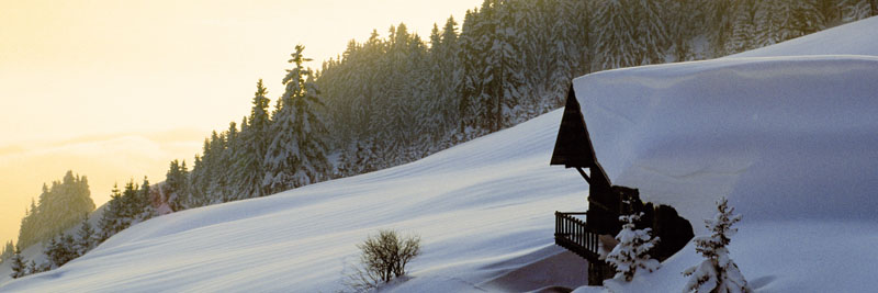 CHALET_BEAUFORTAIN_PAN 1X4