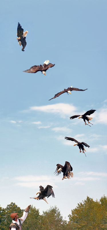 PYGARGUES phases de vol