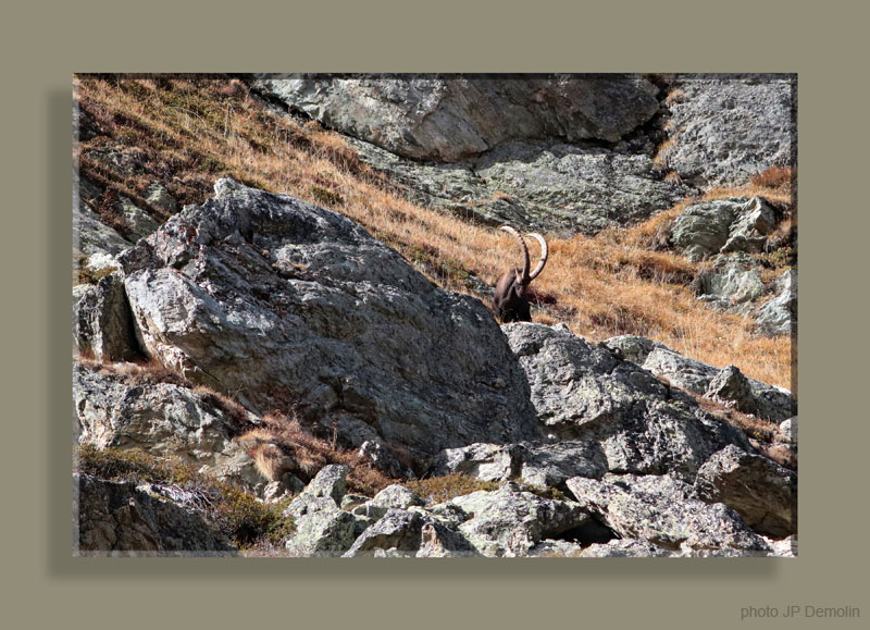 IMG_1096SSTFNCAD N0N2