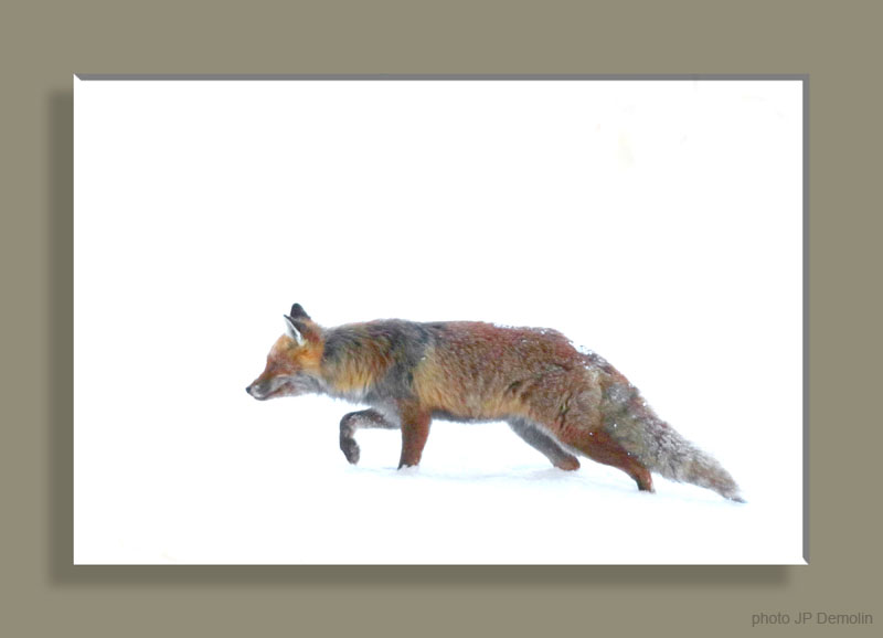 IMG_3397SNSATVN182RETN