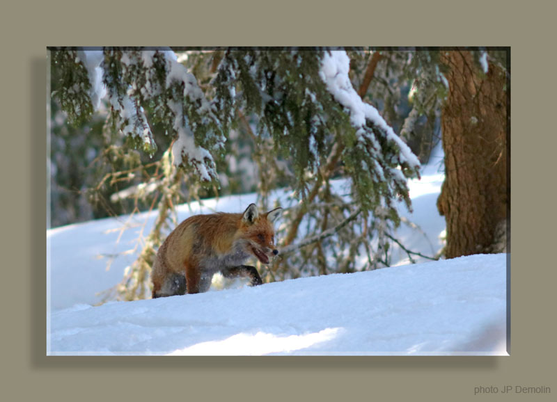 IMG_3463STFNVRETRECN18