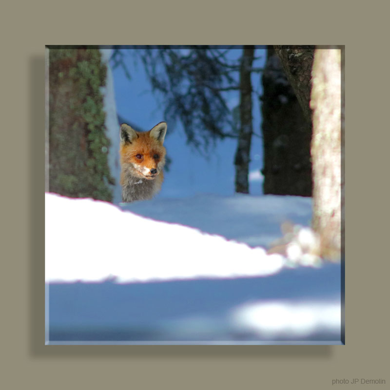 IMG_3532SSRETCARRE NVN18