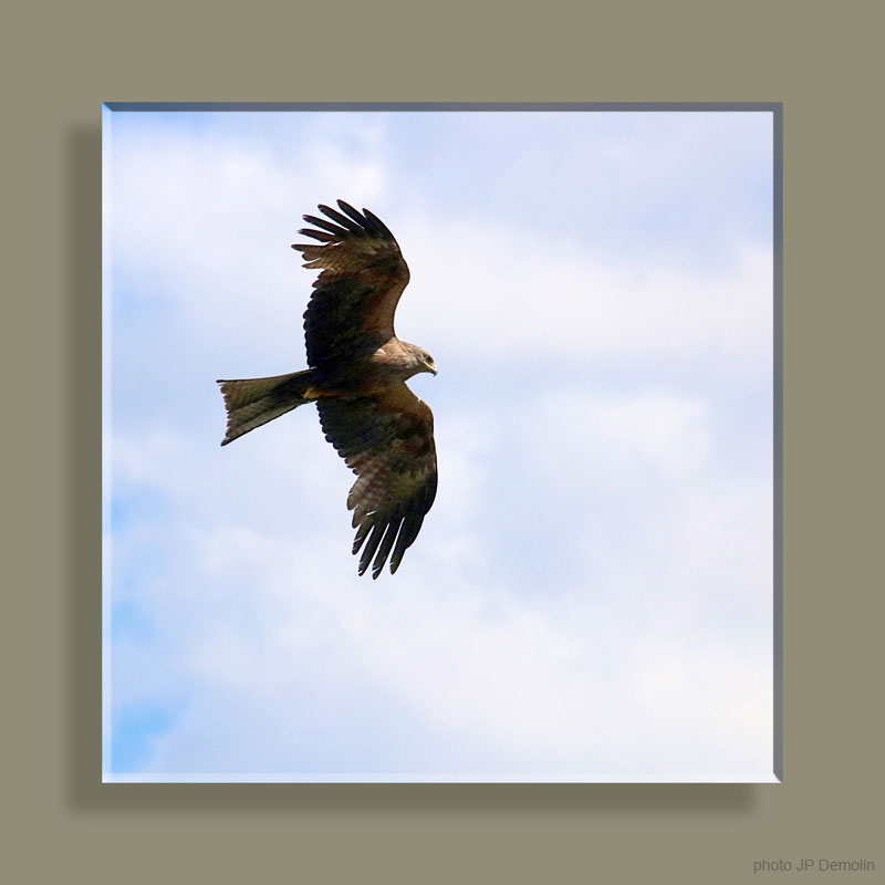 IMG_5904WWNRECCSN18CARRE