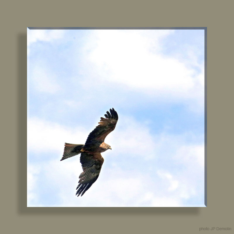 IMG_5905WTFCSV N2018 CARRE TFNV