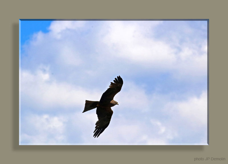 IMG_5905WTFCSV N2018