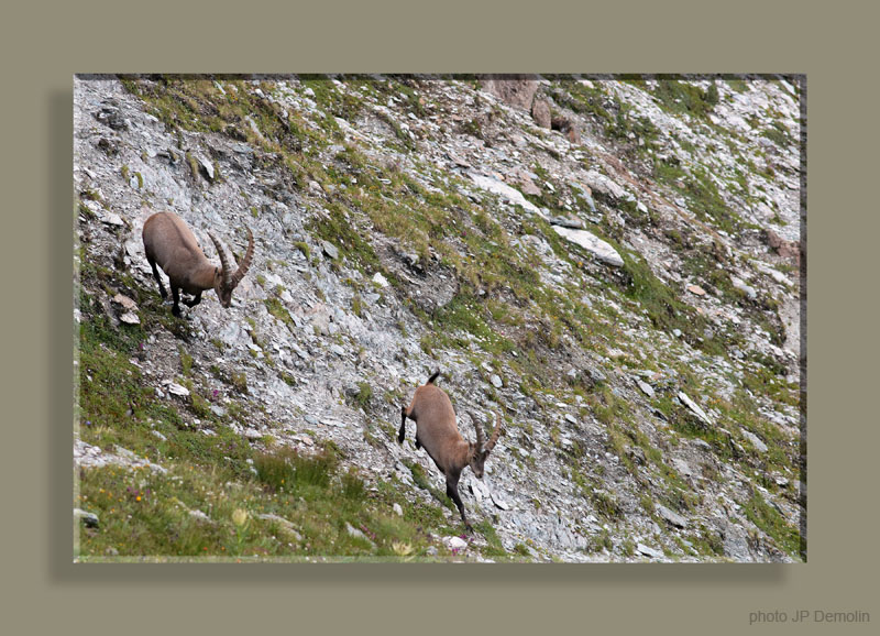 IMG_5937SSSTFNFVT N1