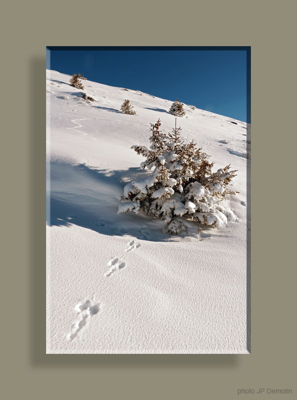 IMG_6943WTFNN0CSCSCA