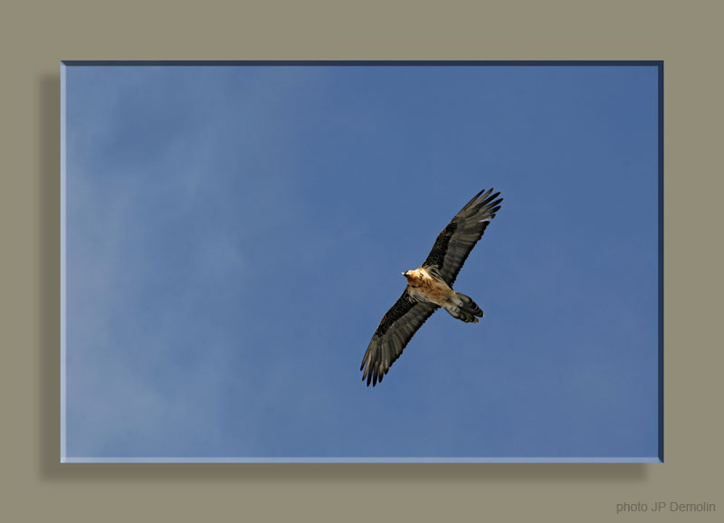 IMG_8463 S REC RET COUL 3