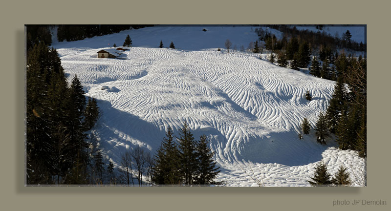 PANO 15WWTFCANVN2 REC