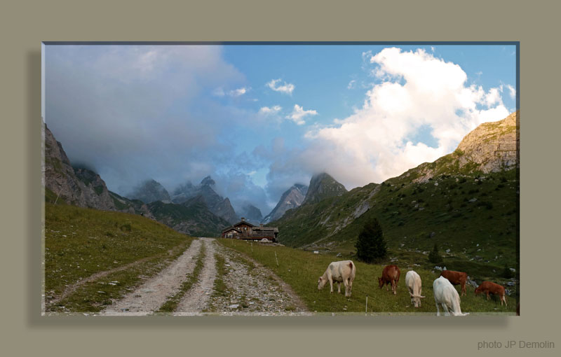 PANO BARMETTES ETETFNVCS N1