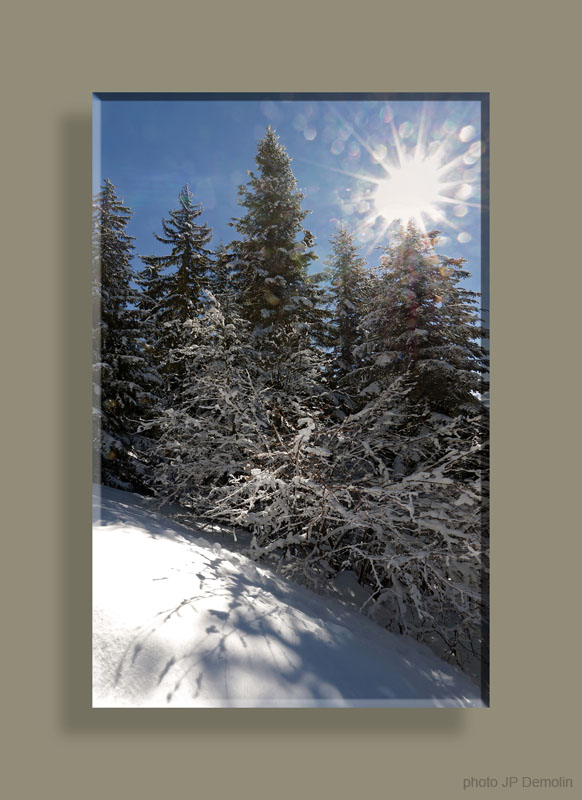 PANO FORET FEISSONSTFCACSNCADT N2SAT