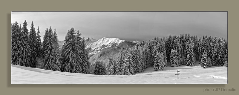 Pano 16WTFCANCS N2 NB