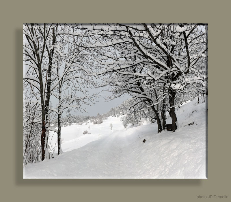 Pano FEISSONS 09WTFN N0