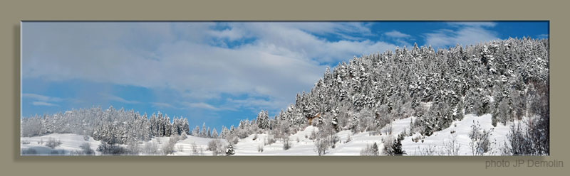 Pano FEISSONS 1WW N1