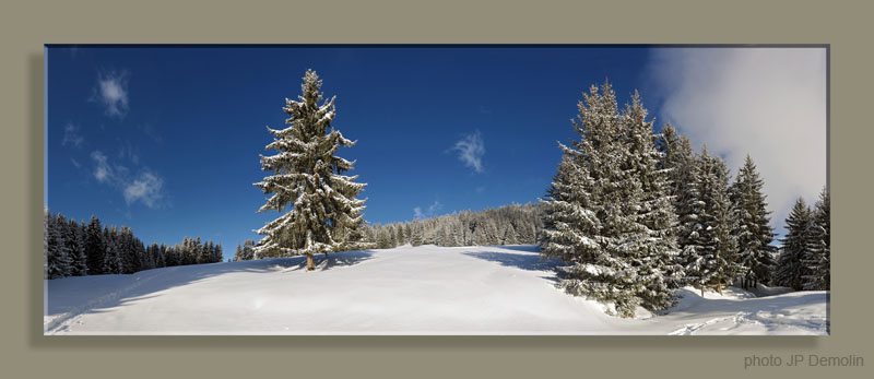 PanoGRAND PRE 02WTFCACSVN2B