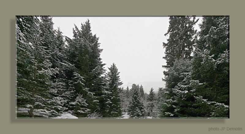 VANOISE HIVER BOIS DE LA ROSSA PRALO Pano 24