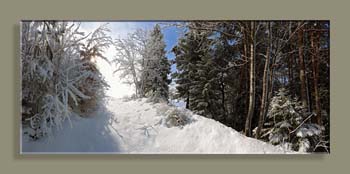 FORET FEISSONS 02BWWTFCACSVN N4 RECRET