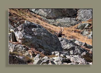 IMG_1096SSTFNCAD N0N2