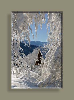 IMG_1272 STFNTCAVNF N2