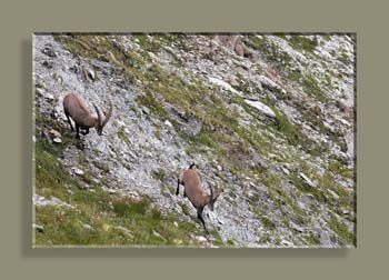 IMG_5937SSSTFNFVT N1