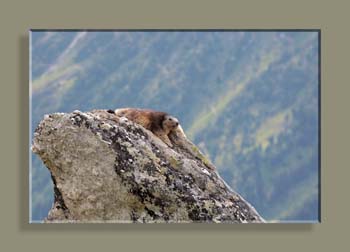 IMG_5982SSSSEFNVCAD2N1