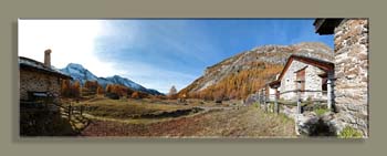 PANO 06 LE MONALTFNCSCSGV N3CS