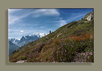 PANO 1 MONTEE AU LAC BLANC N