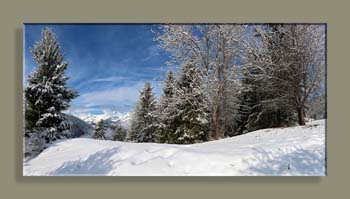 PANO FEISSONS 03WTFCAFCSV N4